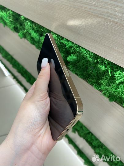 iPhone 13 Pro Max, 256 ГБ