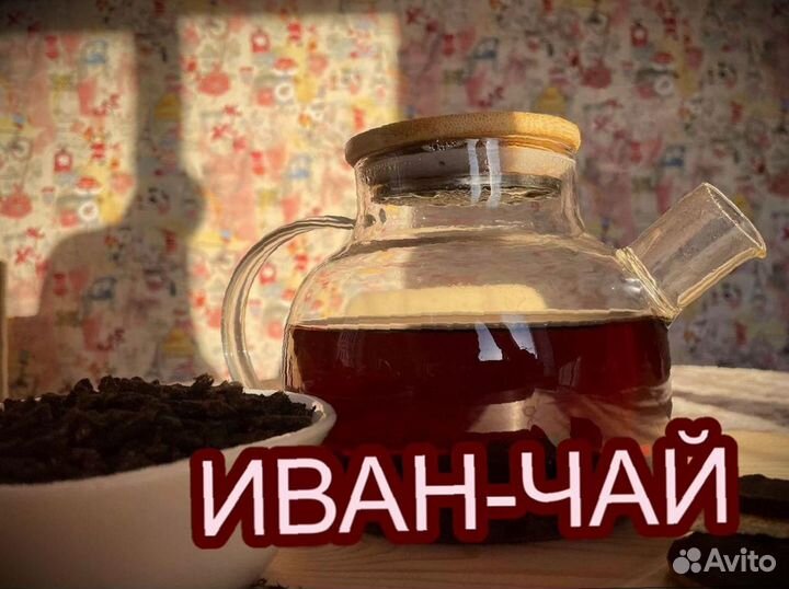 Иван-чай сезон 2023, 1 кг, абсолютно дикорастущий