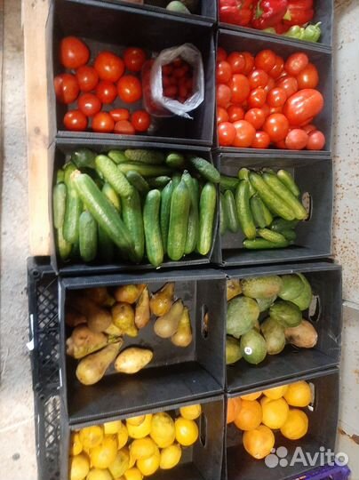 Овощи фрукты для животных