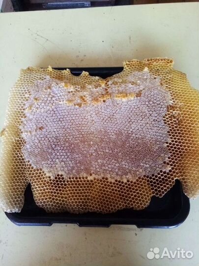 Продам мед