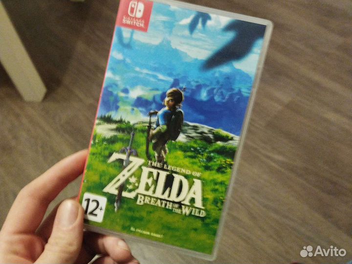 The legend of zelda braeth of the wild (zelda)