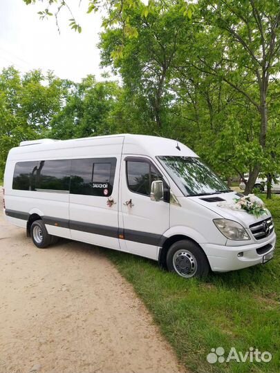 Пассажирские перевозки минивэн трансфер