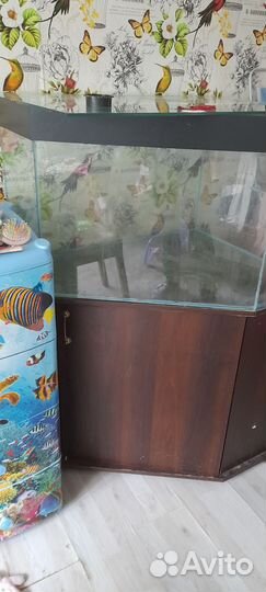 Аквариум с тумбой 160 литров бу