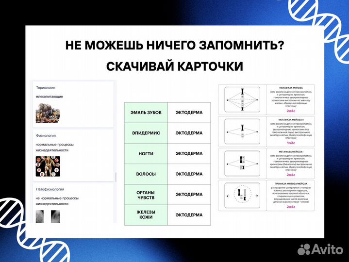 Репетитор по биологии подготовка к ЕГЭ ОГЭ