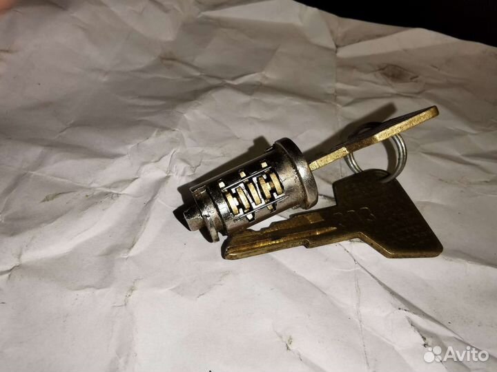 Личинка замка заз