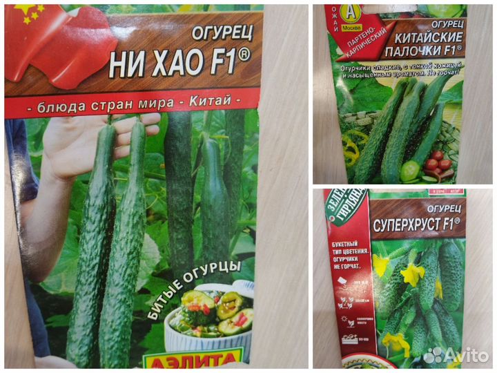 Арбузы, дыни, огурцы, перцы