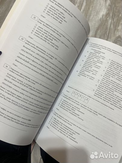 Иванова 2022г, русский язык ЕГЭ