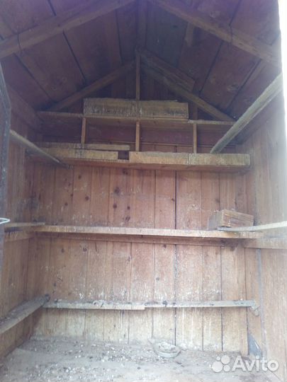 Голубятник