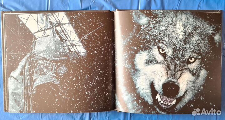 Dimmu Borgir - Abrahadabra - Box Set Deluxe Editio