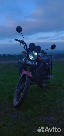 Alpha andes lux 110cc