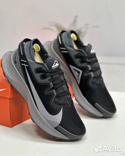 Кроссовки Nike pegasus trail 2