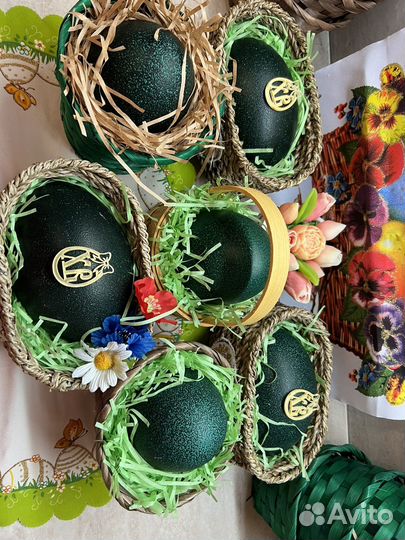 Яйца страуса Эму