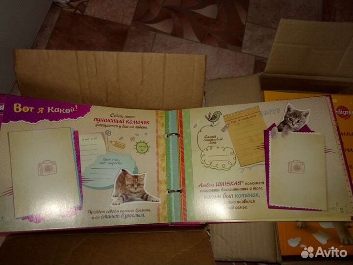 Альбом про моего котёнка
