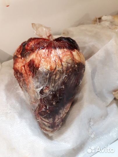 Натуральная еда для животных в Мурманске