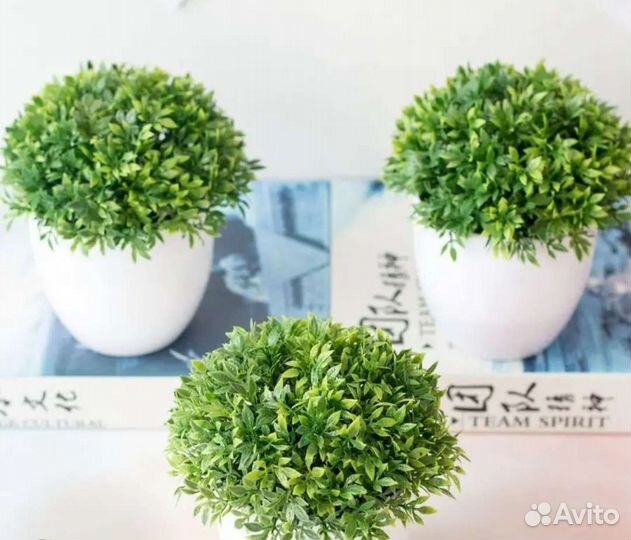 Искусственные растения в кашпо