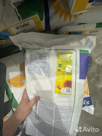 Фортими кл гибрид подсолнечника