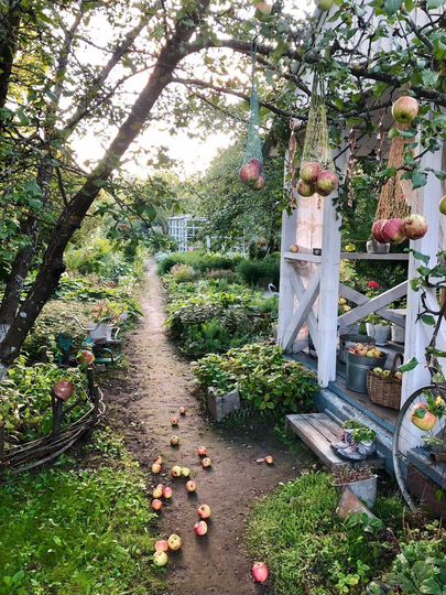 Участок 13,8 сот. (СНТ, ДНП)