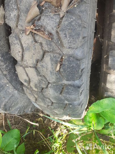 Резина газ 53 бу