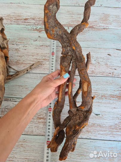 Морские коряги дрифтвуд