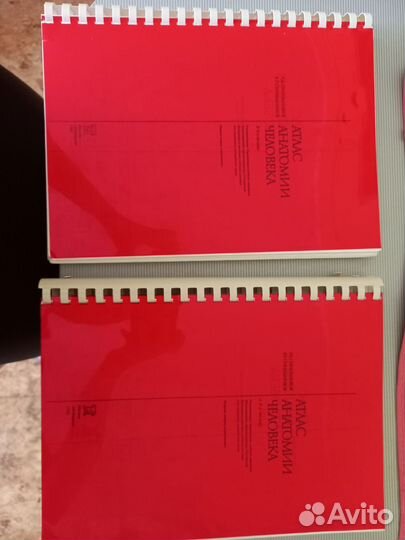 Атлас анатомии человека синельников