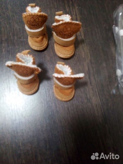 Обувь для маленькой собачки