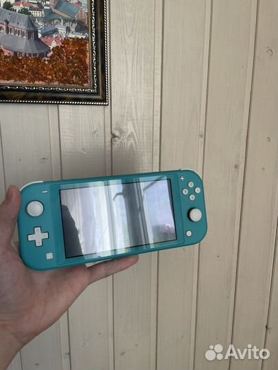 Nintendo switch lite