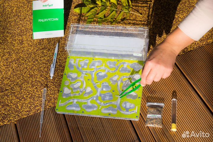 Формикарий/ Подарок для ребенка/ Муравьиная ферма