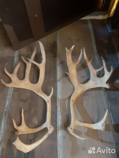 Акустика ввк