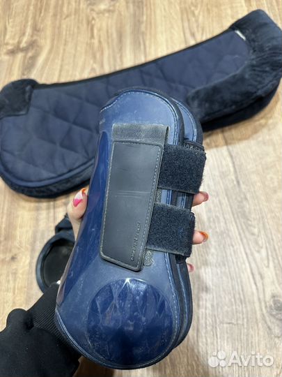 Амуниция для конного спорта