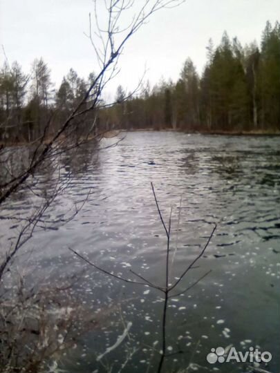 Заброска туристов