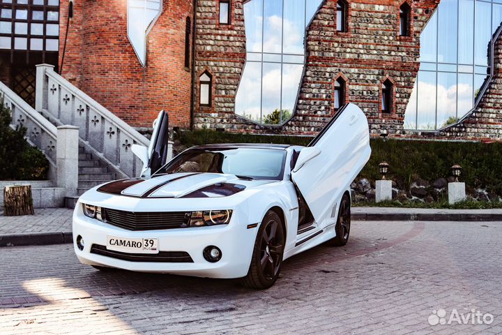 Аренда / Прокат Chevrolet Camaro