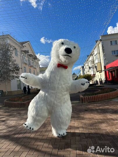 Аниматоры на детский праздник /выпускные