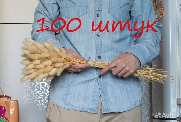 Сухоцветы лагурус (зайцехвост)