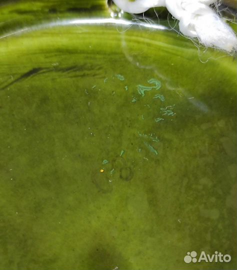 Красивая настенная фаянсовая тарелка 