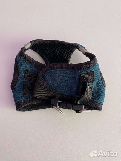 Шлейка для маленькой собаки