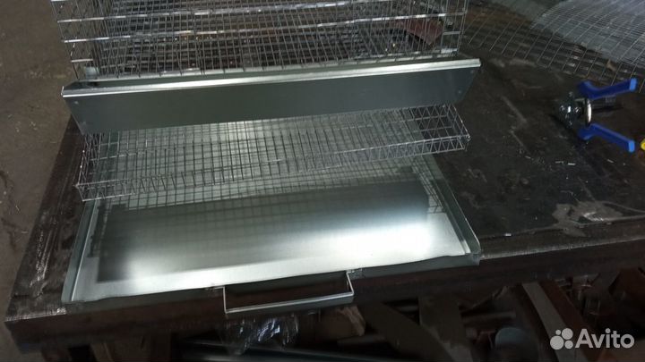 Клетка для перепелов