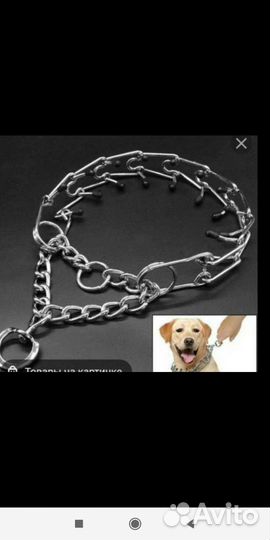 Строгий ошейник на Алабая или Кавказца