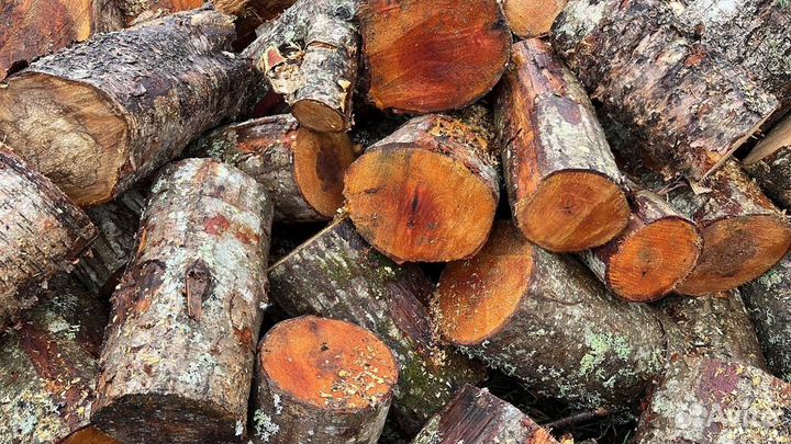 Дрова ольха