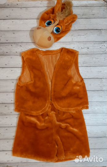 Аренда/прокат