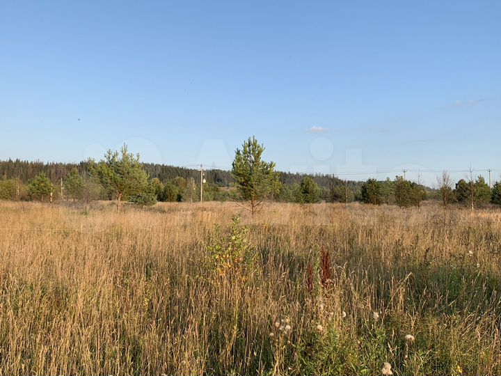 Участок 10 сот. (ИЖС)