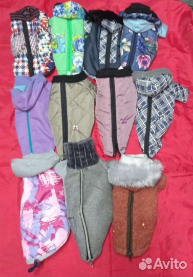 Одежда для животных