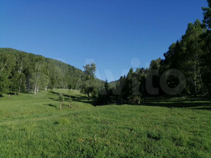 Участок 2,42 га (СНТ, ДНП)