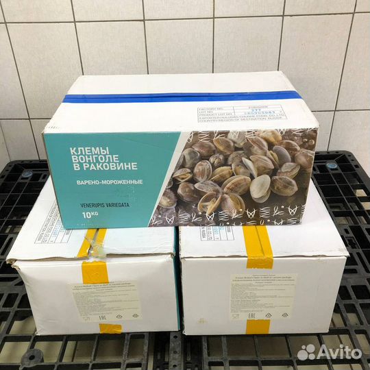 Клемы вонголе