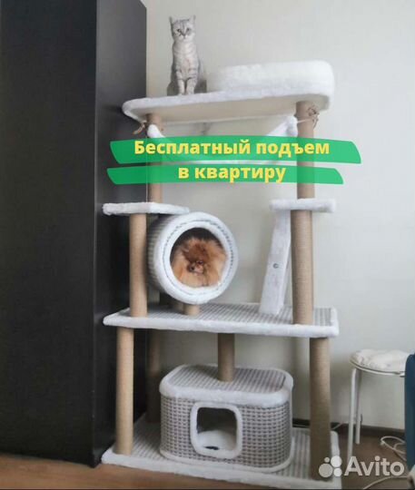 Когтеточка домик для кошки