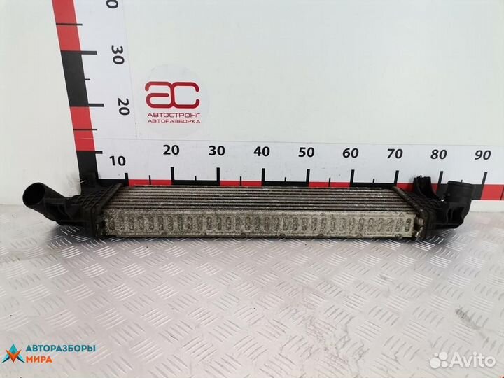 Интеркулер Ford Focus рест. 2005 1423959