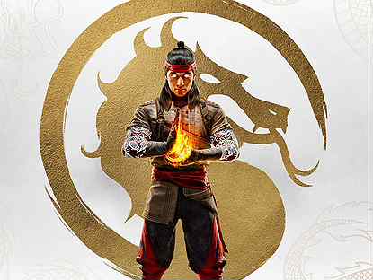 Mortal Kombat 1 Premium PS5 (Русские субтитры)