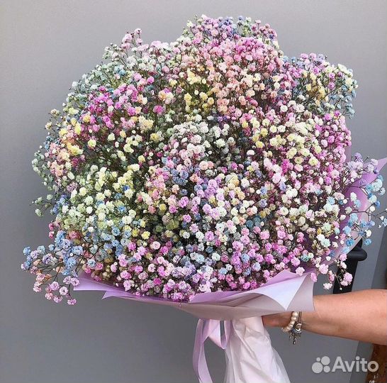 Гипсофила радужная