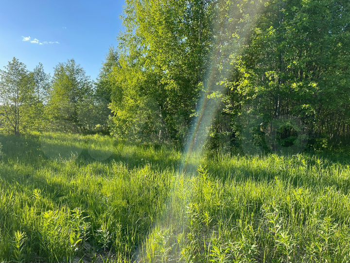 Участок 10 сот. (ИЖС)