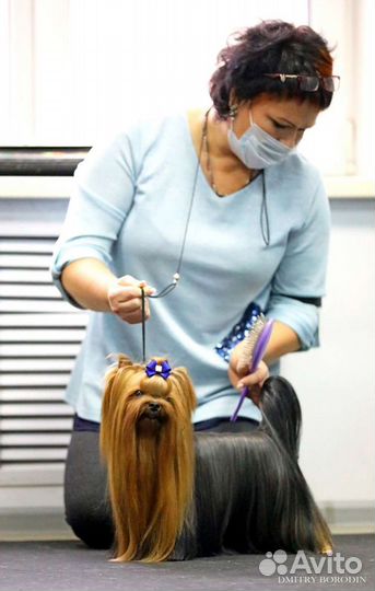 Приглашаем на вязку