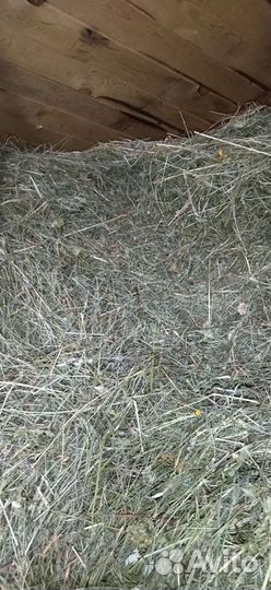 Свежее Сено